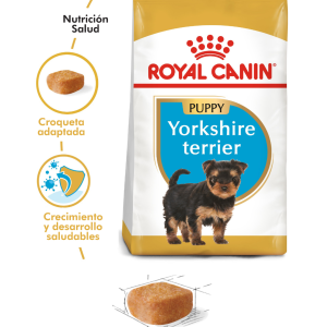 YORKSHIRE TERRIER PUPPY 3KG