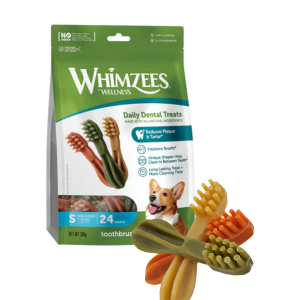 TOOTHBRUSH S 24 UNIDADES